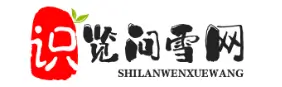 兰州识览问雪站